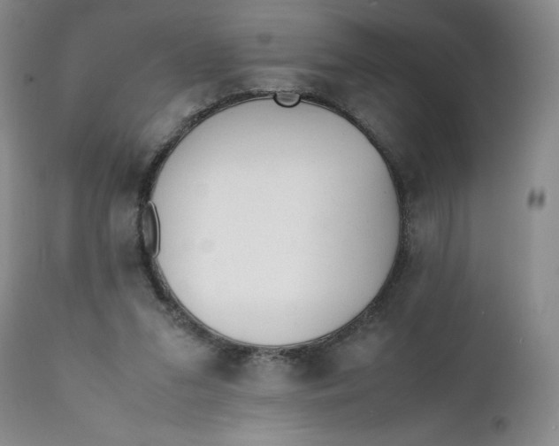 X0000112040207200908241611