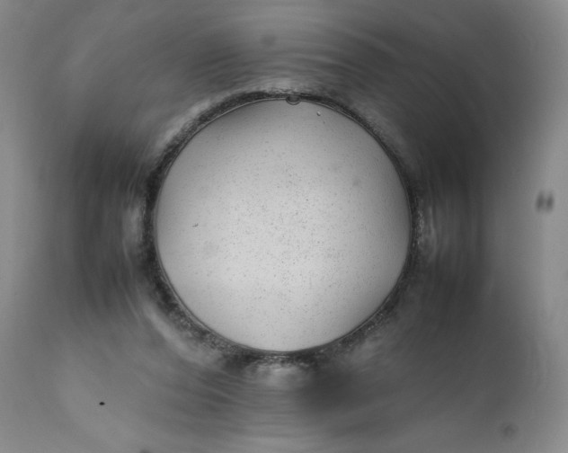 X0000112040208200908241610