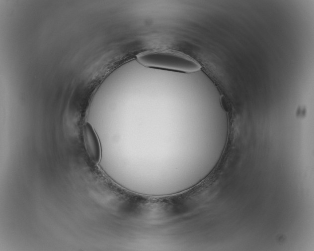 X0000112040209200908241610