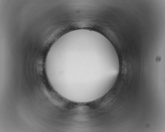 X0000112040210200908241610
