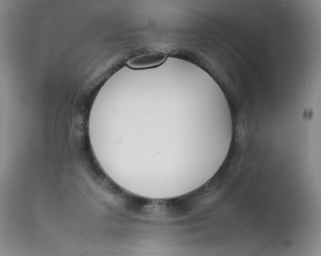 X0000112040211200908241610
