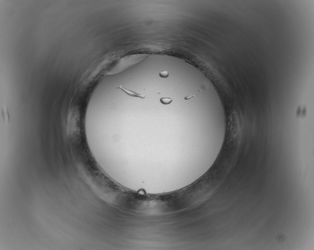 X0000112040212200908241610