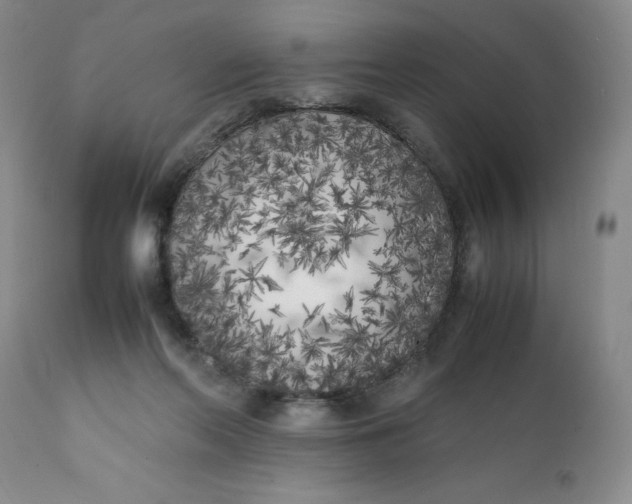 X0000112040214200908241610