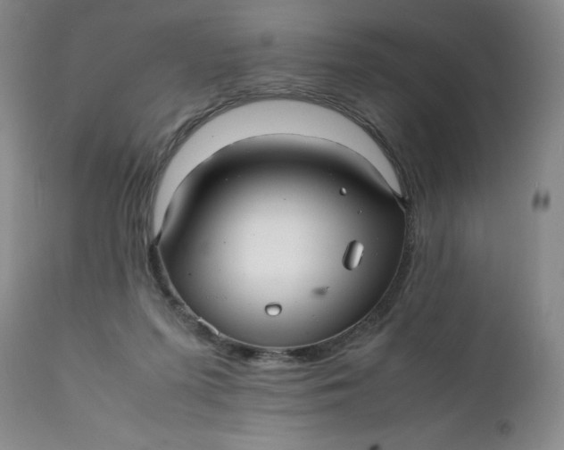 X0000112040215200908241610