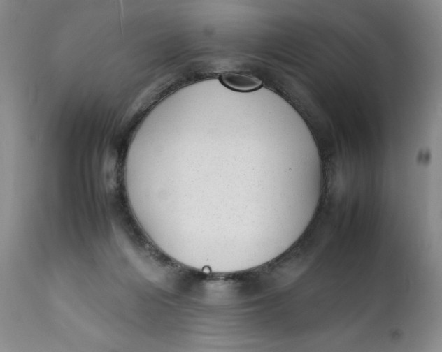 X0000112040216200908241610