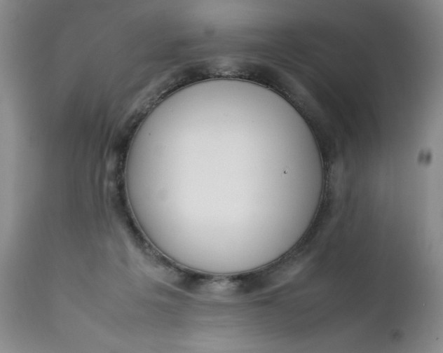 X0000112040217200908241610