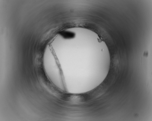 X0000112040218200908241610