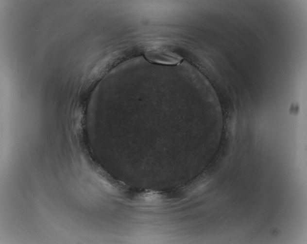 X0000112040219200908241610