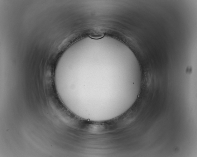 X0000112040220200908241610