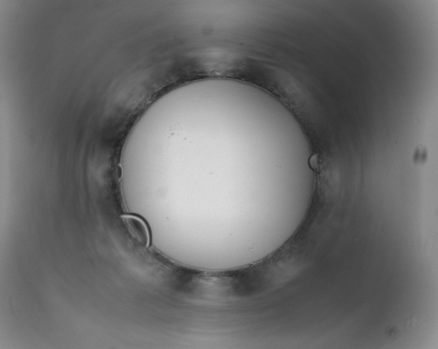 X0000112040221200908241610