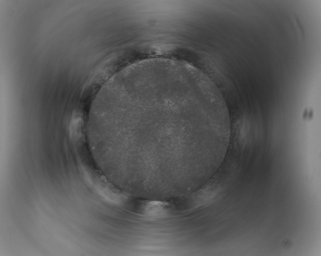X0000112040222200908241610