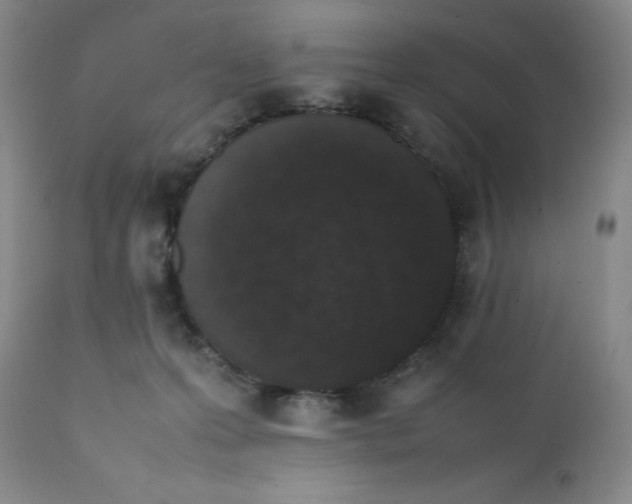 X0000112040223200908241610