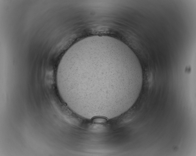 X0000112040224200908241610