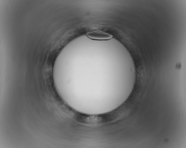 X0000112040225200908241610