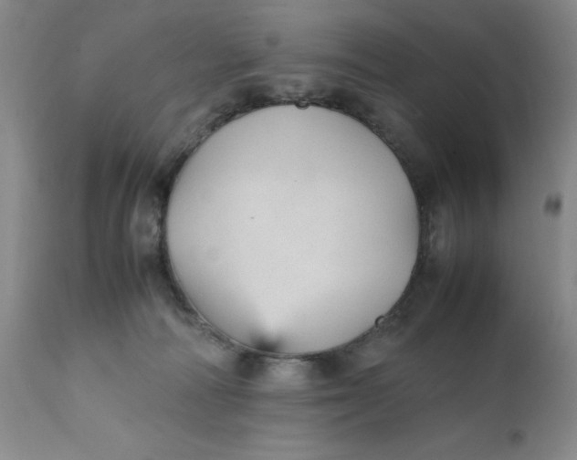 X0000112040226200908241610