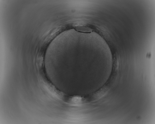 X0000112040227200908241610