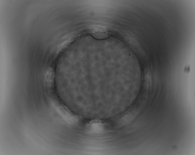 X0000112040228200908241610
