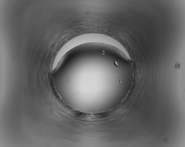 X0000112040229200908241610