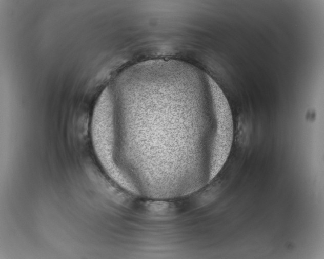 X0000112040230200908241610