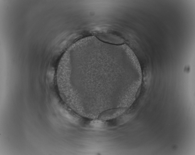 X0000112040231200908241610