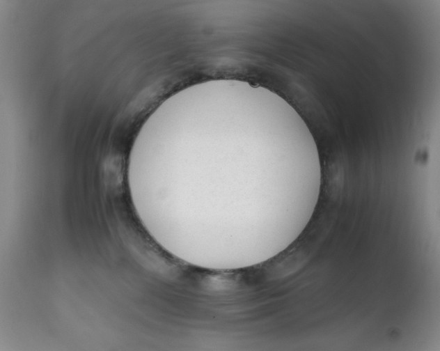 X0000112040232200908241610