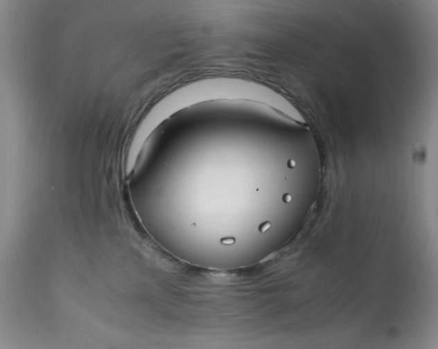 X0000112040233200908241610