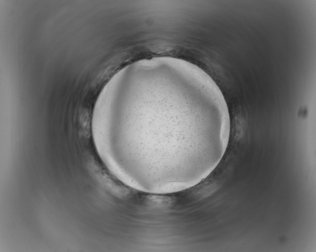 X0000112040234200908241610