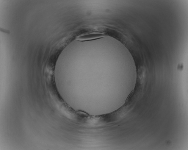 X0000112040235200908241610