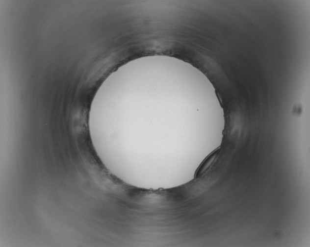 X0000112040236200908241610