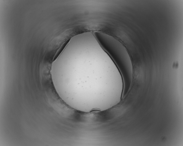 X0000112040237200908241610
