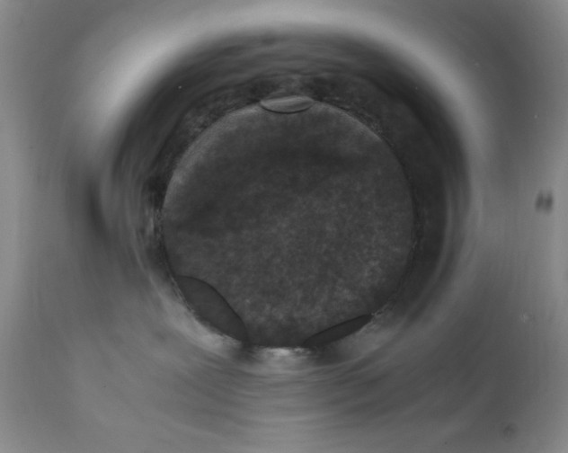 X0000112040239200908241610