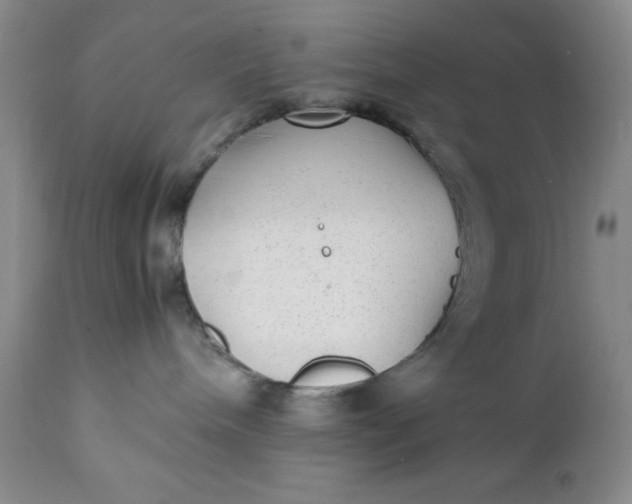 X0000112040240200908241610