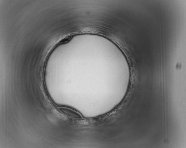 X0000112040241200908241609