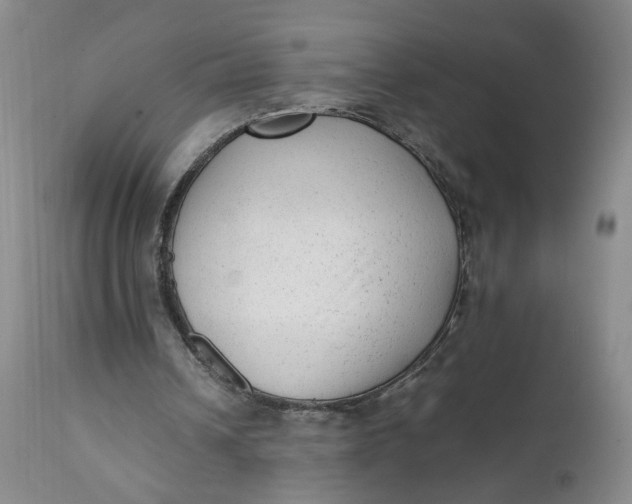 X0000112040242200908241609