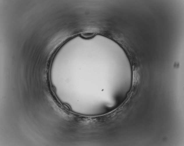 X0000112040243200908241609