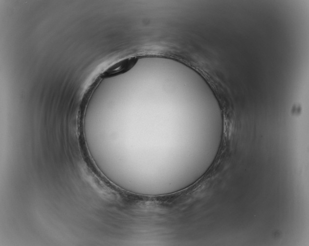 X0000112040244200908241609
