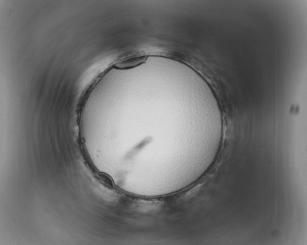 X0000112040245200908241609