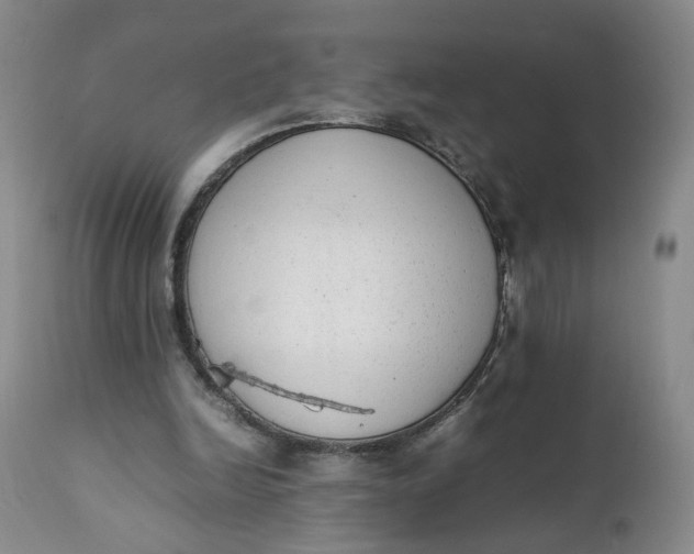 X0000112040246200908241609