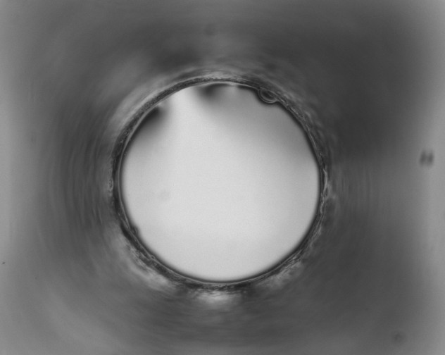 X0000112040247200908241609