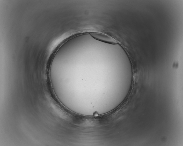 X0000112040248200908241609
