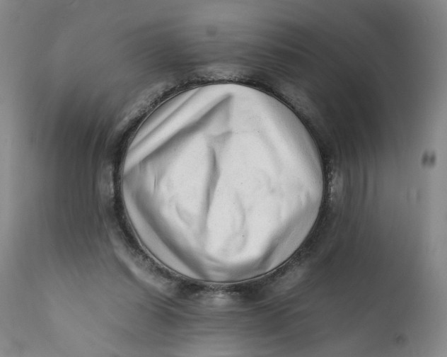 X0000112040254200908241609