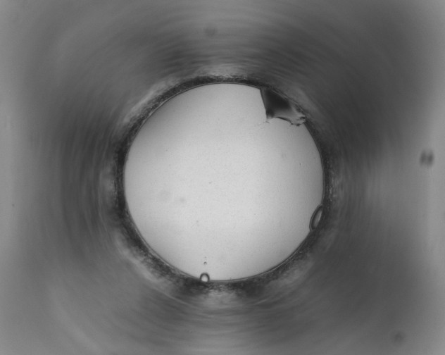 X0000112040256200908241609