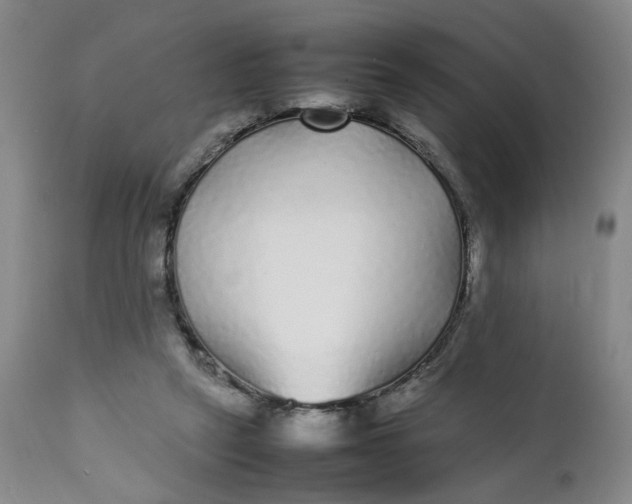 X0000112040257200908241610