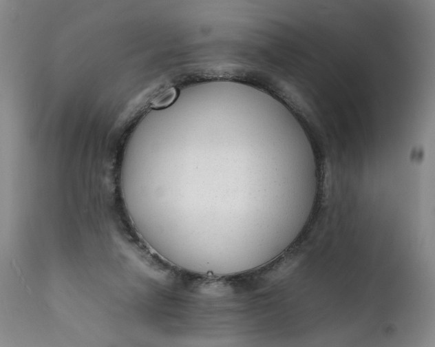 X0000112040258200908241610