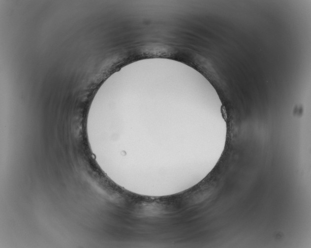 X0000112040259200908241610