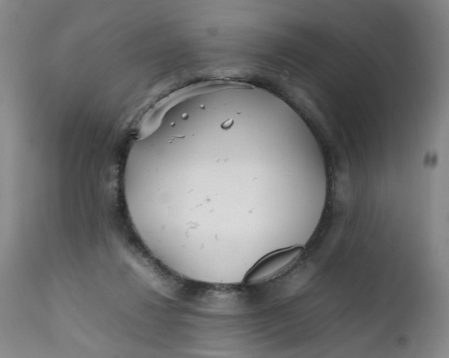 X0000112040260200908241610