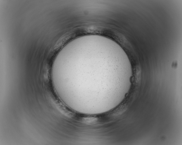 X0000112040266200908241610