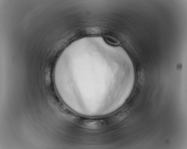 X0000112040267200908241610