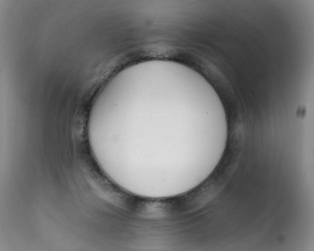 X0000112040268200908241610