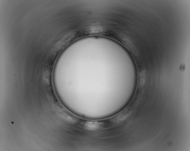 X0000112040269200908241610
